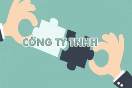 Cơ cấu tổ chức của công ty TNHH là gì? Có hội đồng quản trị không?