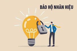 Bảo hộ thương hiệu là gì? Đăng ký báo hộ thương hiệu độc quyền ở đâu?