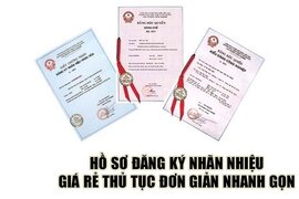 Dịch vụ đăng ký nhãn hiệu