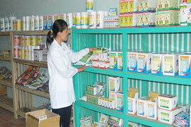 Dịch vụ xin giấy phép kinh doanh thuốc thú y